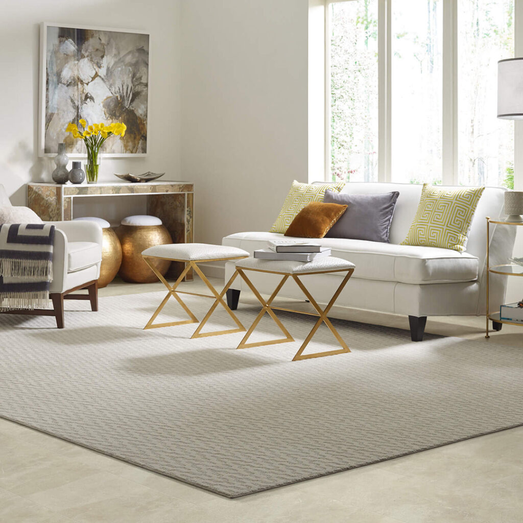 Living Room Area Rug | Carpet Gallery